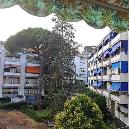 Elefantini *